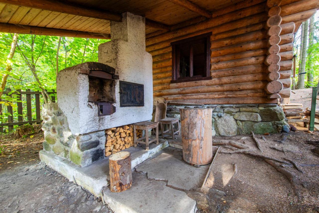 Forest Home Relax Borzont エクステリア 写真