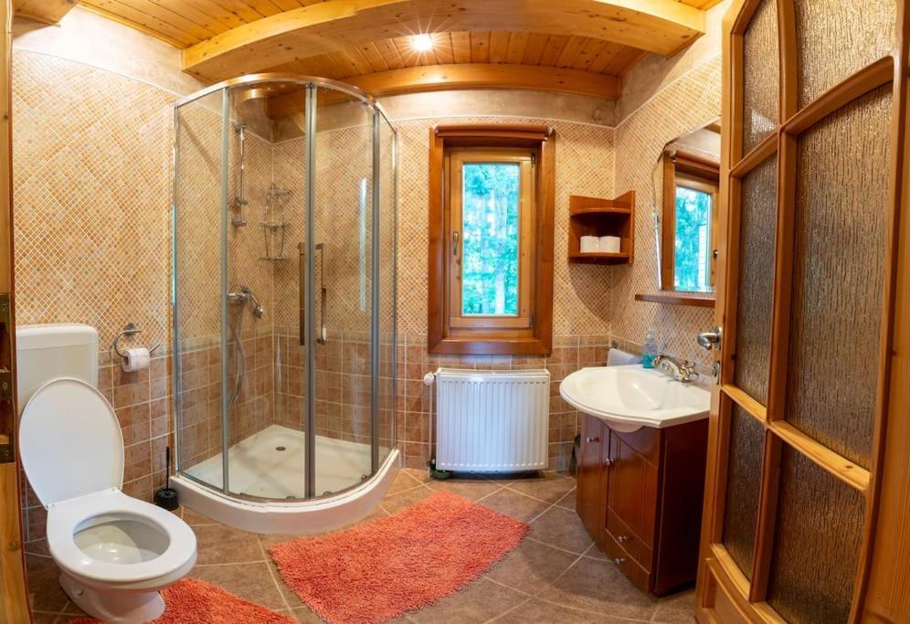 Forest Home Relax Borzont エクステリア 写真